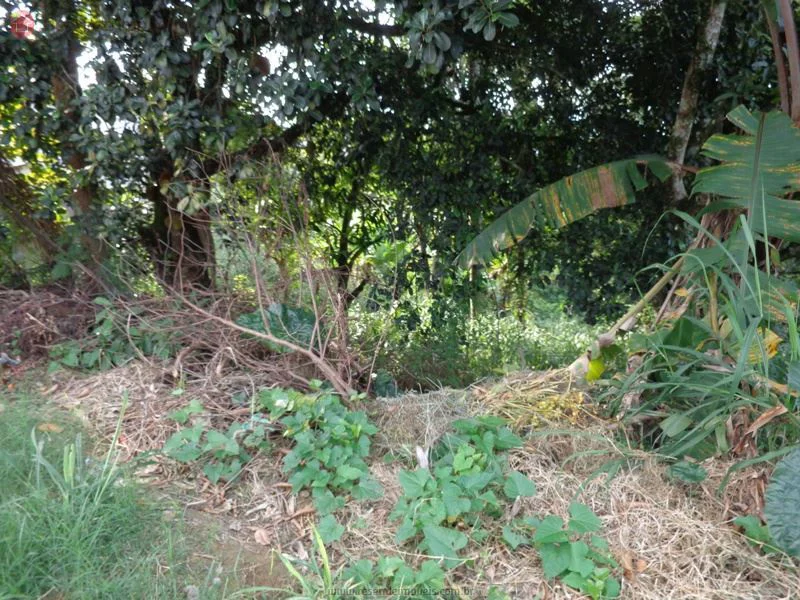 Foto 4 de 5 - Terreno para venda em Santo Amaro